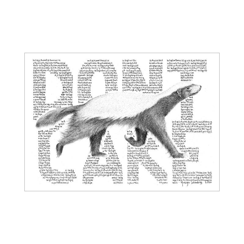 HB Don't Care Poster