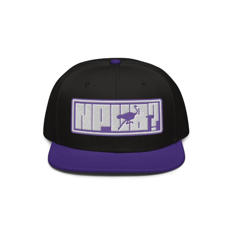 nPub? Unisex Snapback Cap